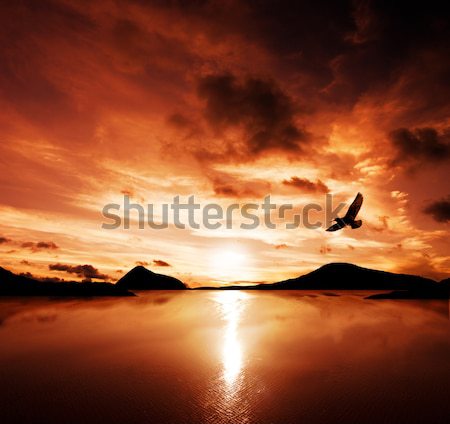 Gün batımı siluetleri güzel su bulutlar Stok fotoğraf © kwest