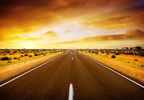 日落 道路 中間 澳大利亞 性質 景觀 商業照片 © kwest
