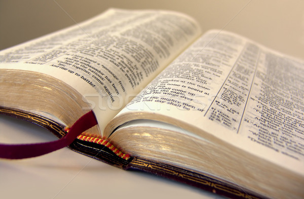 Deschide Biblie carte lectură ruga rugăciune Imagine de stoc © kwest