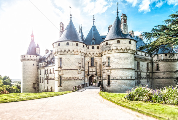 Scenic view of castle in France, Europe. Stock photo © kyolshin