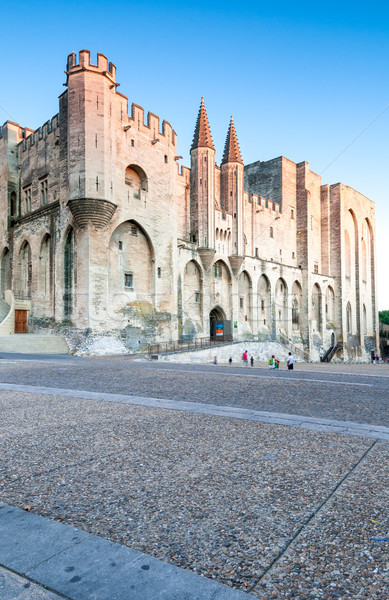 Paus paleis Frankrijk centraal vierkante exemplaar ruimte Stockfoto © kyolshin