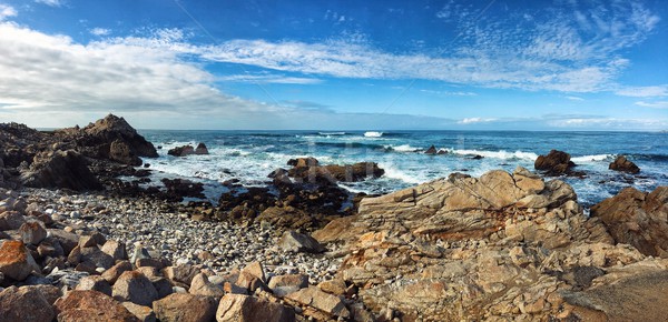 океана стоить Калифорния США Панорама пляж Сток-фото © kyolshin