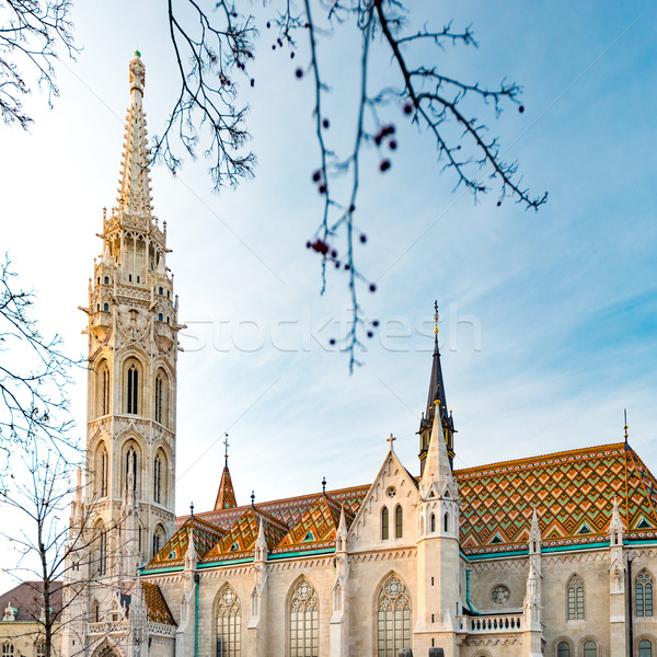 Templu biserică Budapesta castel district orasul vechi Imagine de stoc © kyolshin