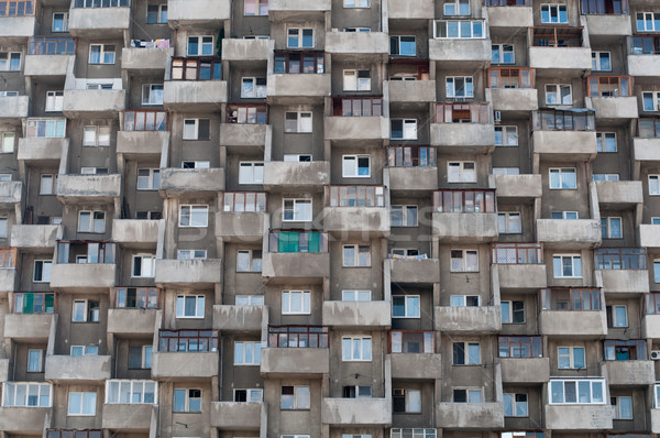hive like house Stock photo © kyolshin