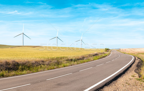 Wind turbines on summer field, green energy. Stock photo © kyolshin