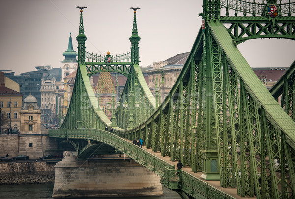 Liberty bridge in Budapest, Hungary. Stock photo © kyolshin