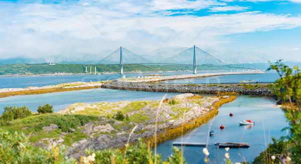 Panorama of auto bridge in Norway, Europe Stock photo © kyolshin