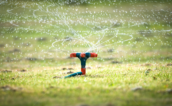 Garden watering system with spiral sprays. Stock photo © kyolshin