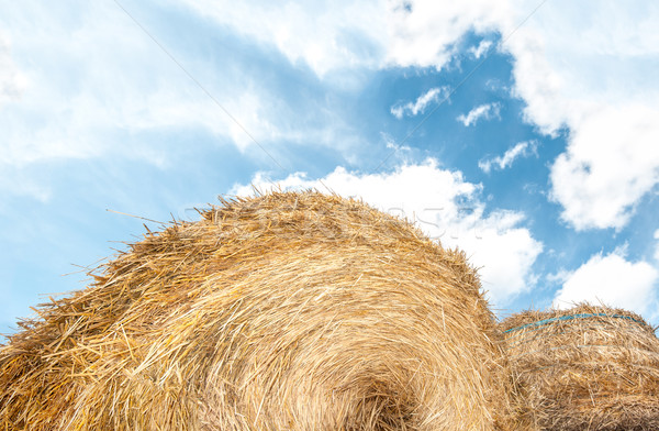Haystack outdoors, sky with clouds in background. Stock photo © kyolshin