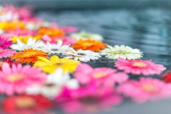 Frumos flori apă fragil diferit Imagine de stoc © kyolshin