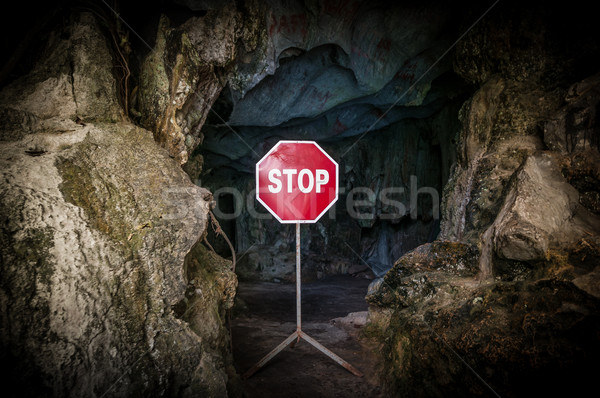 Entry to dark cave blocked with STOP sign. Stock photo © kyolshin