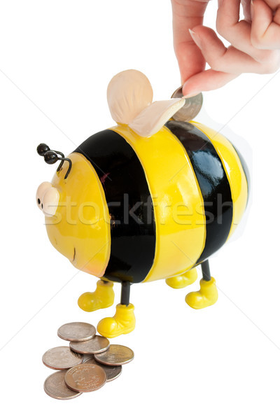 bee moneybox Stock photo © kyolshin