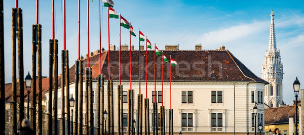Flags and buildings on Budapest castle hill. Stock photo © kyolshin