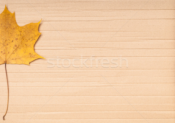 Maple leaf on cardboard background. Stock photo © kyolshin