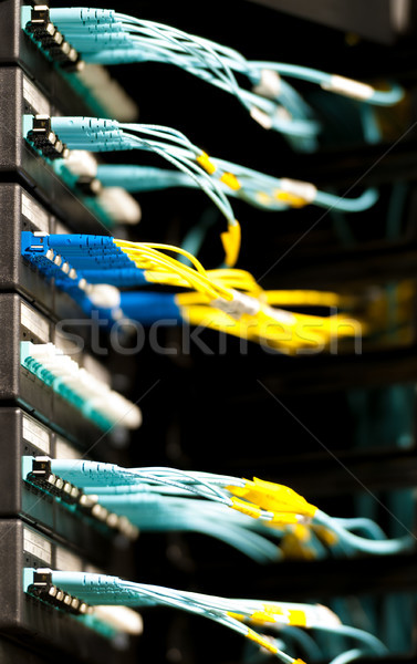 Optic cables connected to panel in server room. Stock photo © kyolshin