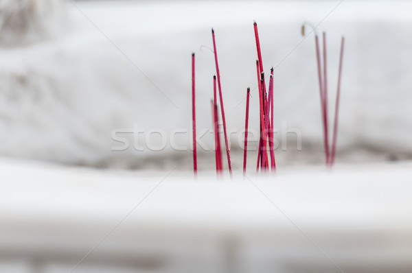 Burning red sticks for worship in buddhist temple. Stock photo © kyolshin