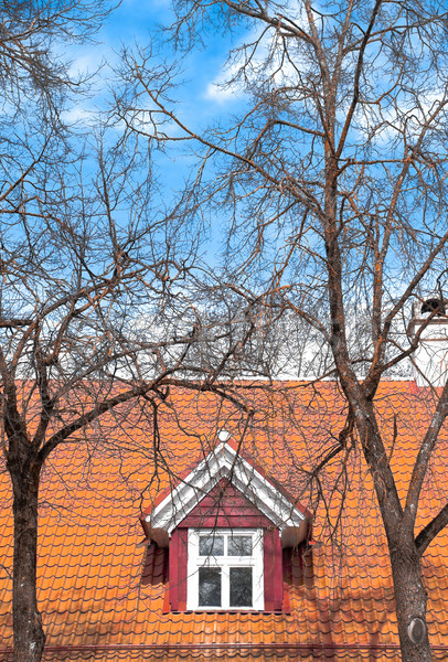 Schönen alte Haus Dachgeschoss bewölkt Himmel Stock foto © kyolshin