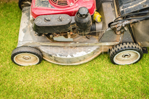 Cutting green grass in yard with lawnmower. Stock photo © kyolshin