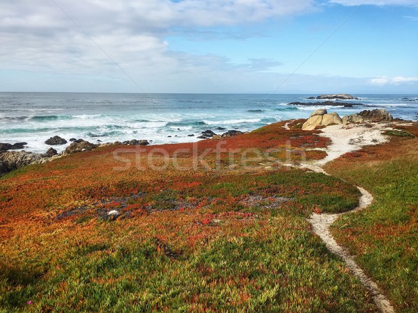 Pacific ocean cost in California, USA Stock photo © kyolshin
