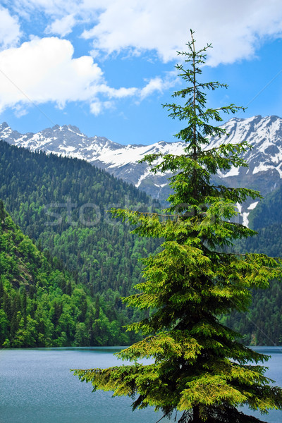 Munte lac munţi peisaj noros cer Imagine de stoc © kyolshin