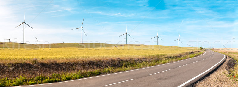 Wind turbines on summer field, green energy. Stock photo © kyolshin