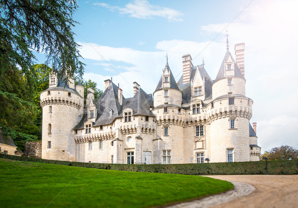Scenic view of castle in France, Europe. Stock photo © kyolshin