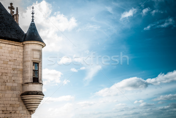 Castle tower with window against dark blue sky. Stock photo © kyolshin