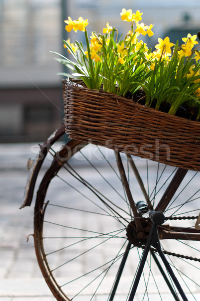 Fahrrad Blumen alten legen Straße Helsinki Stock foto © kyolshin