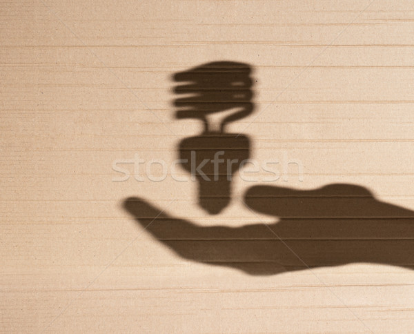 Fluorescente bombilla mano humana sombra cartón Foto stock © kyolshin