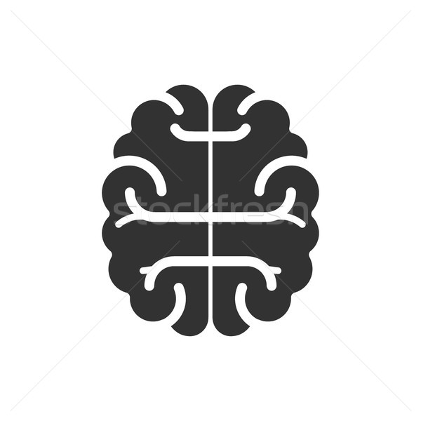 Brain icon flat. vector illustration isolated on white background. Stock photo © kyryloff