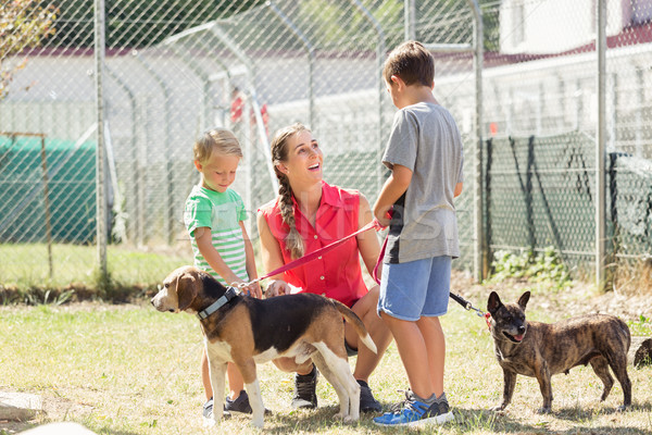 Mom with her sons walking dogs of an animal shelter Stock photo © Kzenon