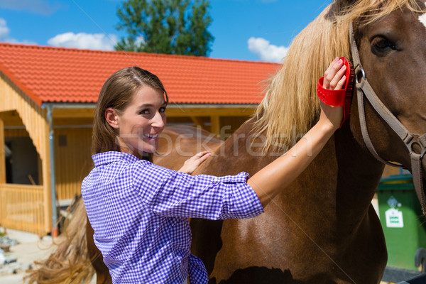 [[stock_photo]]: Jeune · femme · écurie · cheval · soleil · paysage