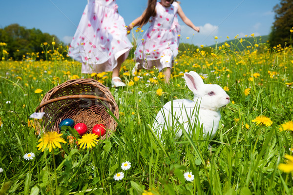 孩子 復活節彩蛋亨特 兔子 草地 春天 前景 商業照片 © Kzenon