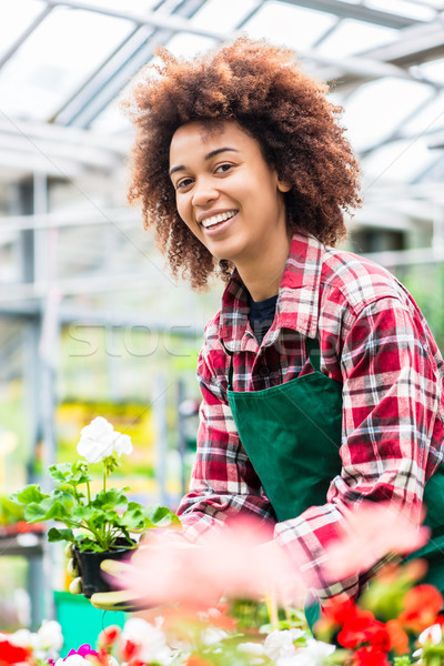 Dedicated woman holding a potted plant during work as florist Stock photo © Kzenon