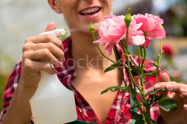 Female gardener in market garden or nursery Stock photo © Kzenon