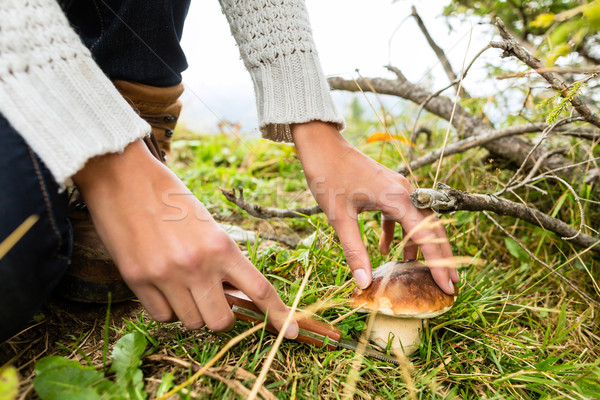 Young mushroom picker in the Bavarian alps Stock photo © Kzenon