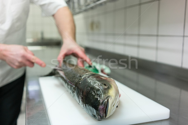 Foto stock: Chef · restaurante · cozinha · carpa · peixe · comida