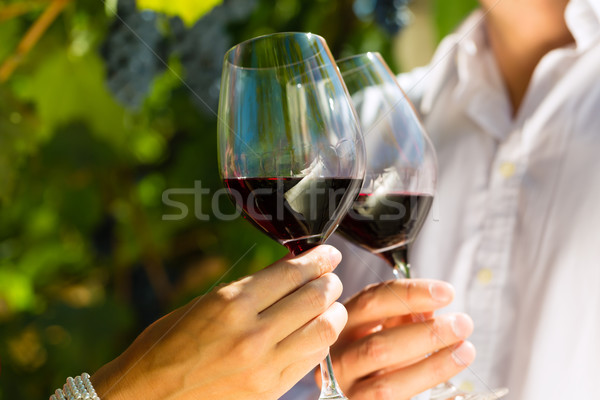 Stock photo: Woman and man in vineyard drinking wine