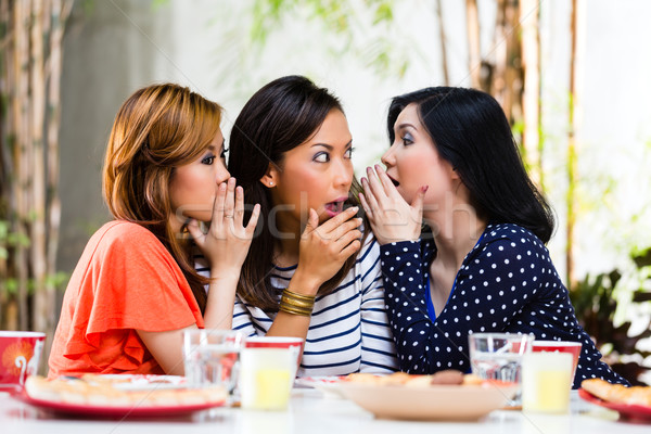 Asian women gossiping about things Stock photo © Kzenon