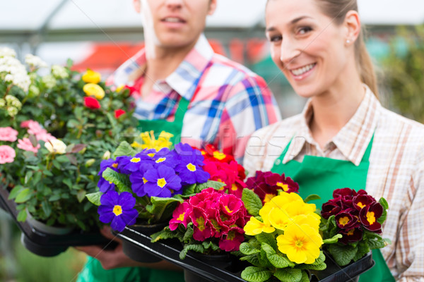 Gardener in market garden or nursery Stock photo © Kzenon