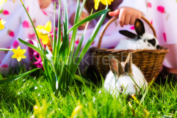 孩子 復活節彩蛋亨特 兔子 活 復活節兔子 籃 商業照片 © Kzenon