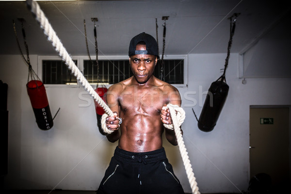 Portrait of young determined man waving battle ropes during high Stock photo © Kzenon