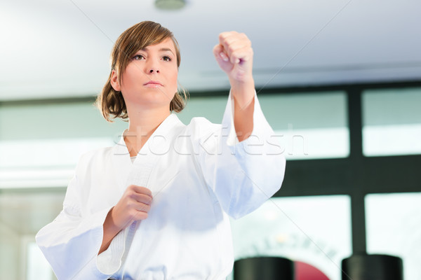 Martial Arts sport training in gym Stock photo © Kzenon