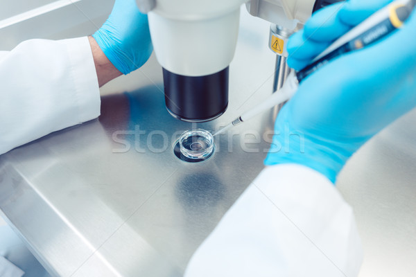 Stock fotó: Nő · tudós · dolgozik · laboratórium · tojás · sejt