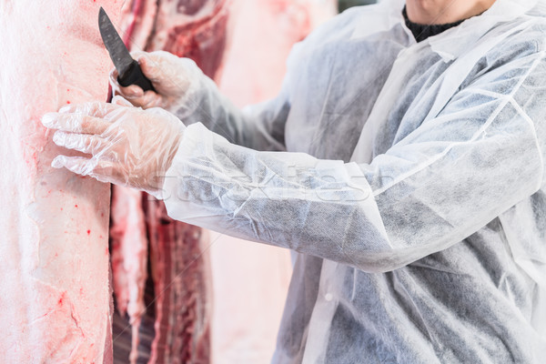 Hand of butcher in butchery cutting meat Stock photo © Kzenon