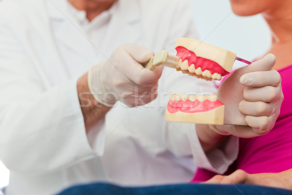 Dentist explaining teeth brushing to patient Stock photo © Kzenon