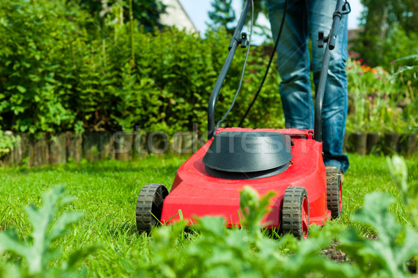 Man is mowing the lawn in summer Stock photo © Kzenon
