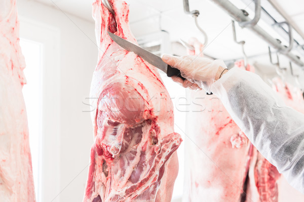 Hand slager vlees mes man Stockfoto © Kzenon