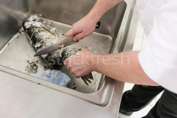 Restaurant Chef scaling carp fish in his kitchen Stock photo © Kzenon