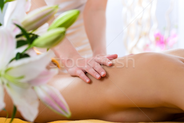 Wellness - woman getting body massage in Spa Stock photo © Kzenon